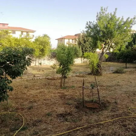 Relax Garden Apartment
